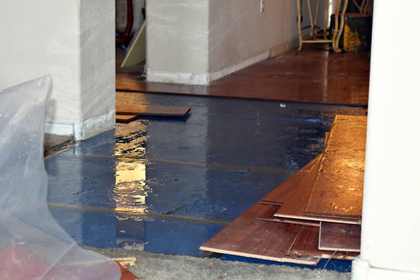 Professional Basement Flood Cleanup technician working in Thorndale, PA